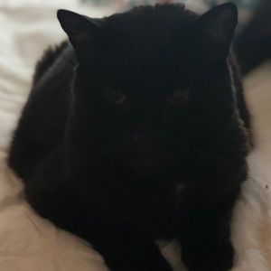 Meet your Posher, Erin